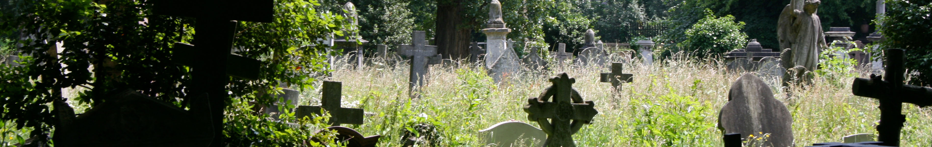 General cemetery view